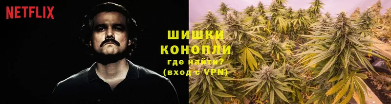 Шишки марихуана White Widow  Холмск 